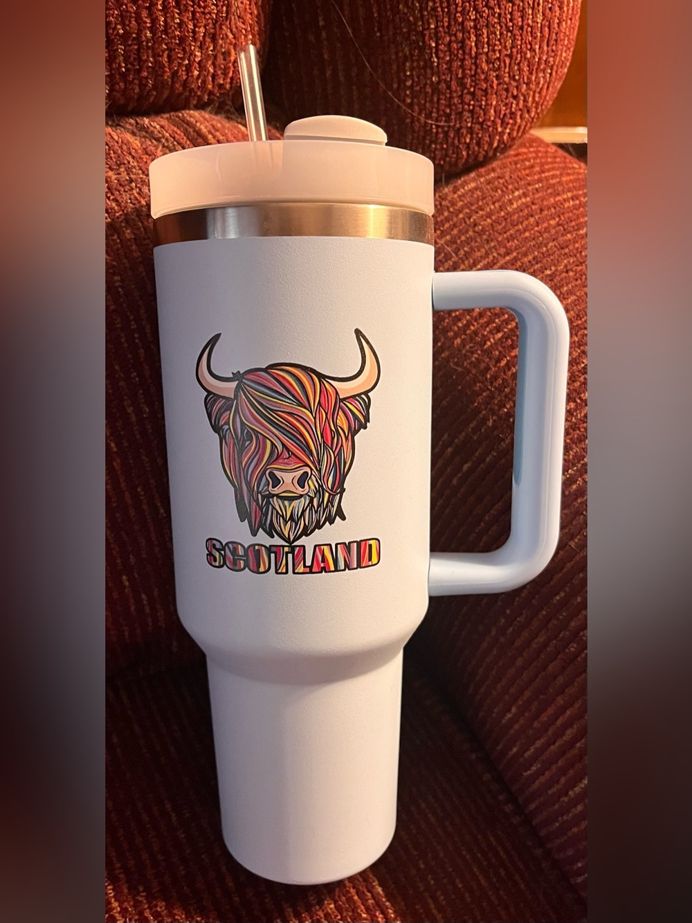 Highland Cow Stainless Tumbler